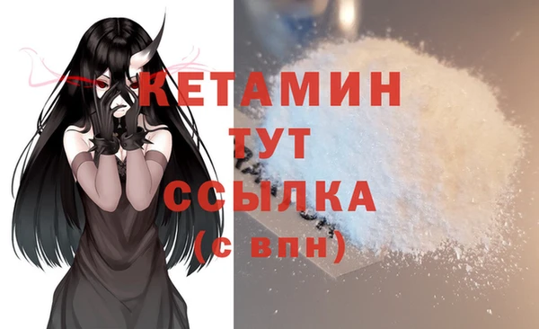 соль ск Каменка