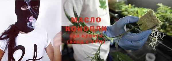 соль ск Каменка