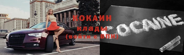 соль ск Каменка