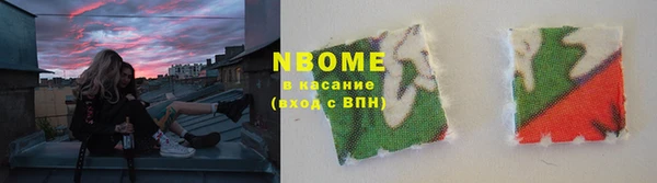 соль ск Каменка