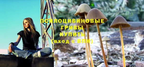 соль ск Каменка