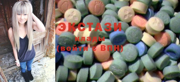 соль ск Каменка