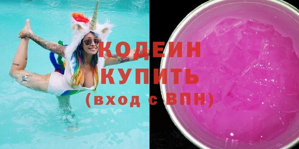 соль ск Каменка